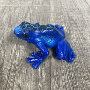 Schleich 14864 Blue Poison Dart Frog Model Plastic Toy Figure Frogs Toy Figurine